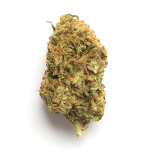 8 ball kush weed strain online