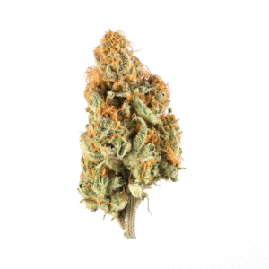 Uplifting Sativa flower Europe