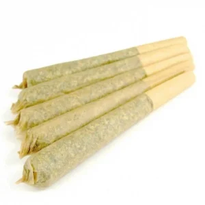 Afghani Kush pre-rolled joint Netherlands