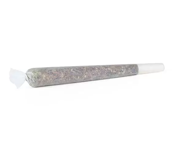 AK-47 preroll 1 gram sativa hybrid AK-47 preroll 1 gram sativa hybrid