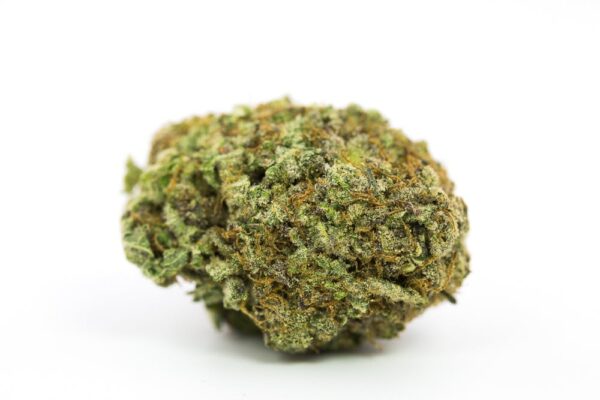 Gods-Green God Bud Strain