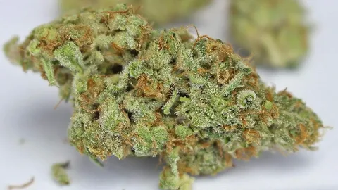 Alien Cookies medical benefits