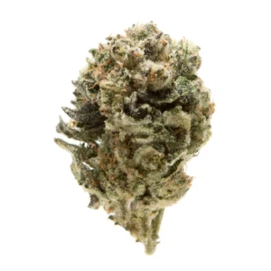 animal_mints_strain Animal Mints Marijuana Strain
