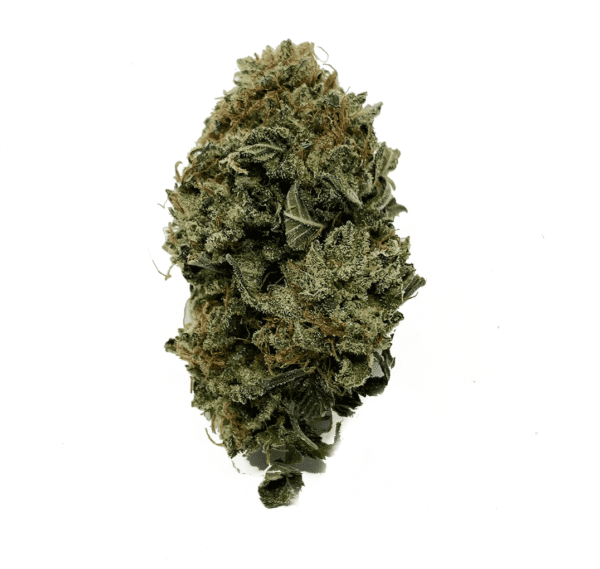 Juicy-Wreck-Weed-Strain eu Juicy Wreck strain Europe
