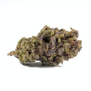 chocolate thai cannabis strain