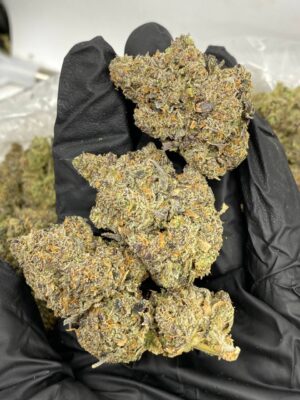 jamaican weed strain europe jamaican weed strain europe