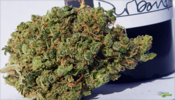 kentucky durban weed strain kentucky durban weed strain